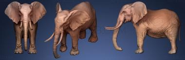 3D model Elephant 3d (STL)